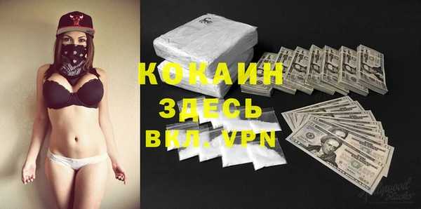 мдпв Елабуга
