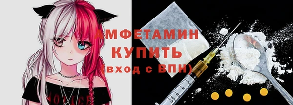дмт Ельня