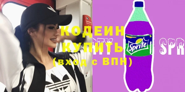 мдпв Елабуга