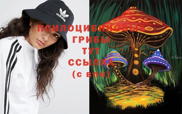 мескалин Дмитриев